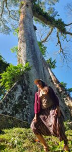arbol y marivi